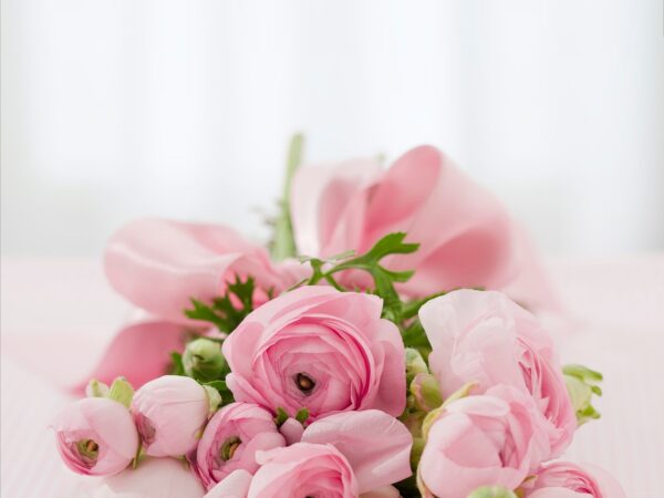 Encante neste Final de Ano com Flores