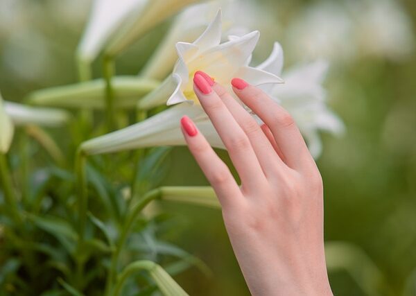 Transformando seu Estúdio de Manicure em um Perfeito estudio de Alongamento de Unhas